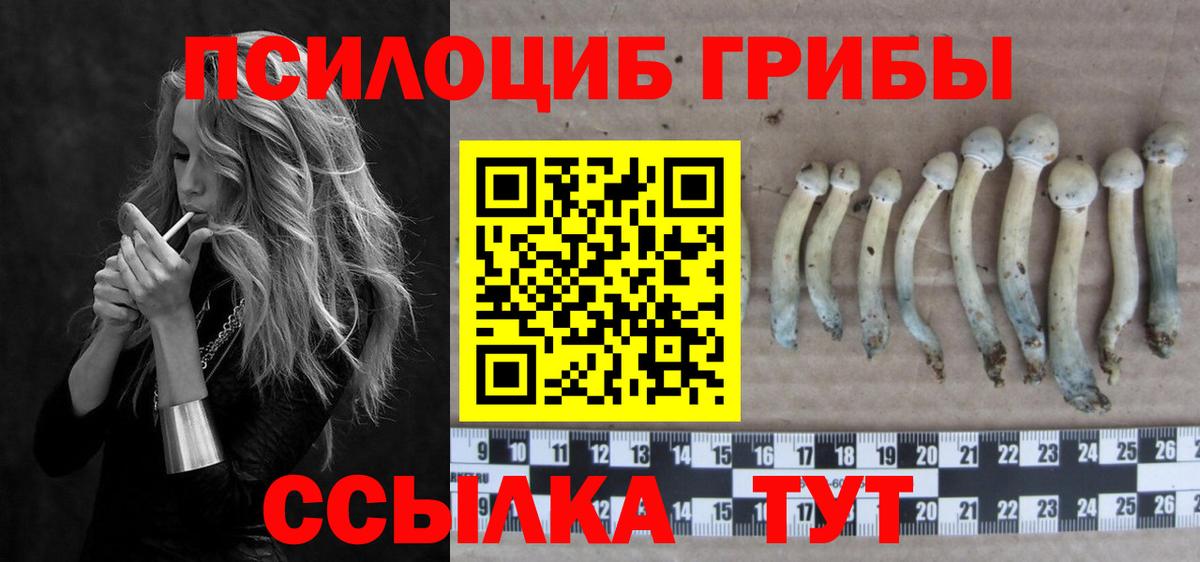 Псилоцибиновые грибы Psilocybine cubensis  Вход с VPN  Верхняя Пышма 